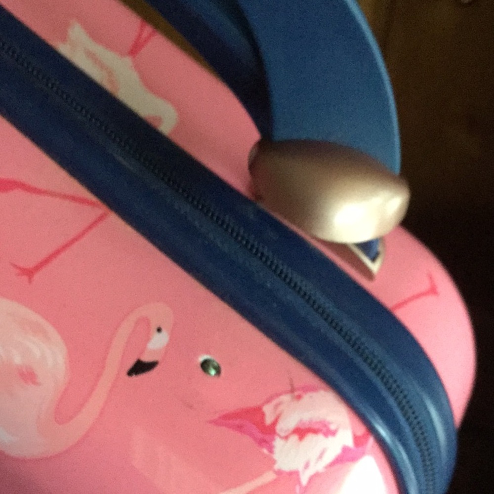 AS IS Flamingo travel case vacay rodeo queen farmer’s market festival beach - Picture 13 of 13